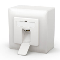 LAN Dose CAT 6 Netzwerkdose Aufputz / Unterputz Farben und A