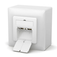 LAN box CAT 6a network socket surface / flush 2 x RJ45 RAL9003