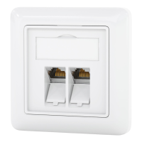 Network socket with 2 x Keystone module CAT 7 RJ45 flush-mou