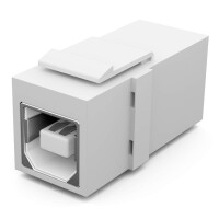 Multimedia Keystone Module USB 2.0 BF/AF white 1
