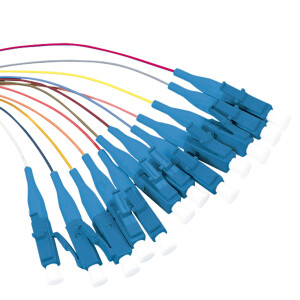 2m Farbiger Pigtail-Set 12x LC UPC OS2 Stecker blau