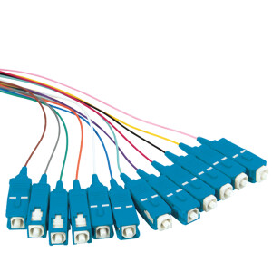 2m Farbiger Pigtail-Set 12x SC UPC OS2 Stecker blau